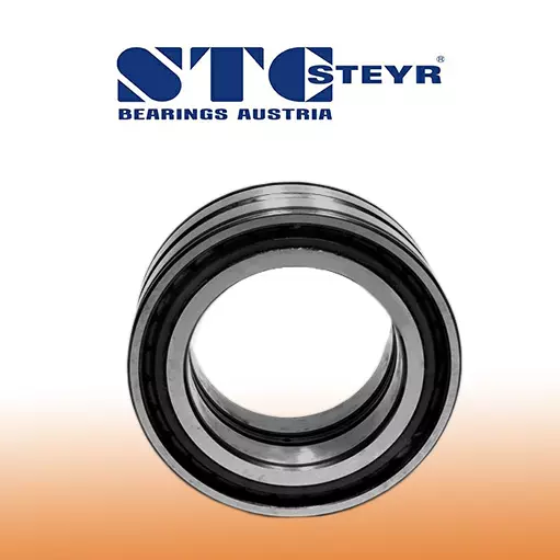 STEYR RULMAN SL 01 4838 STEYR Rulman